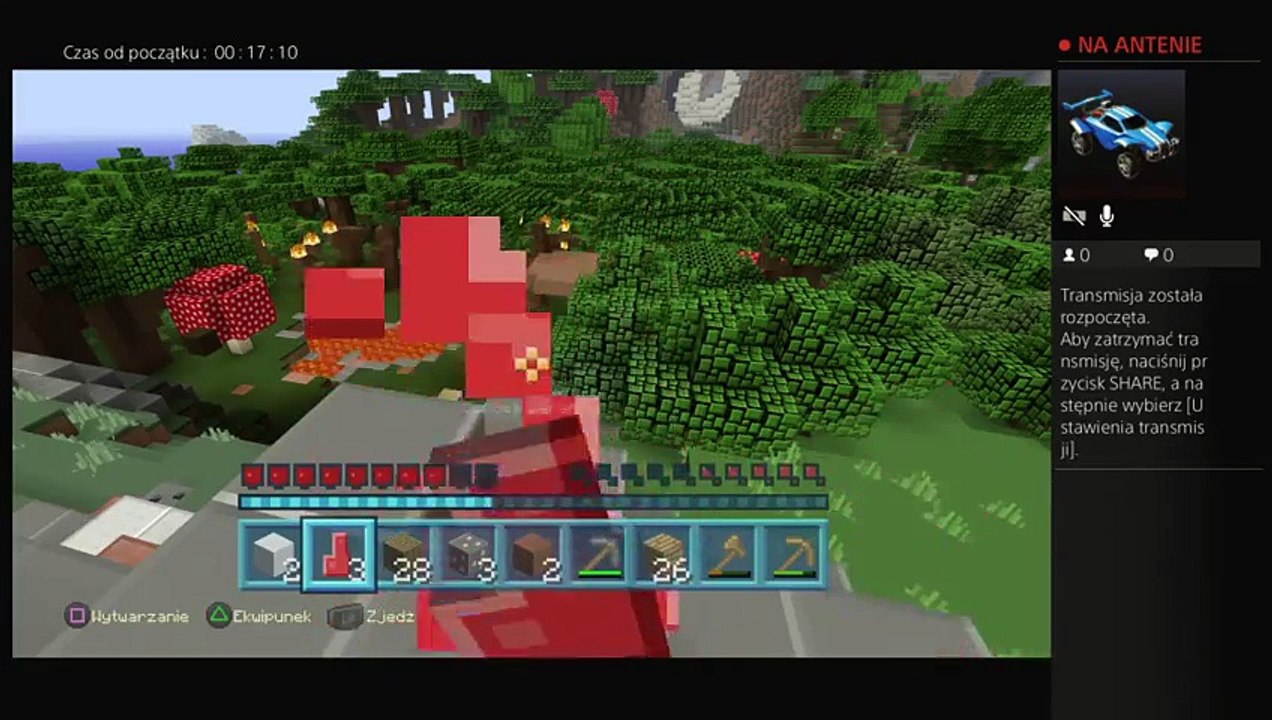 Minecraft (28)