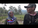 Destinasi Wisata Alam Rancaupas di Bandung - NET12