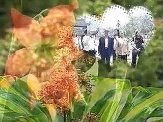 Tân Hồng Thái Du Xuân 2007 Phần 2