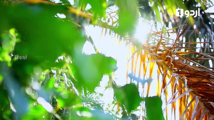 Beti To Main Bhi Hun Episode 22 Urdu1