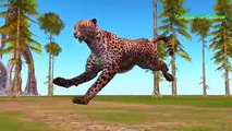 Cheetah Vs Warthog Amazing Fight | Cheetah Attacks Warthog Videos For Children