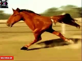 Cavalo De Duas Patas Correndo?