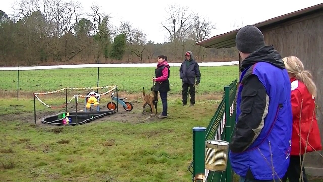 Let it Be du Cami de Catheric, Brevet Mondioring