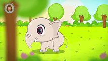 เพลงช้าง | ช้าง ช้าง ช้าง น้องเคยเห็นช้างหรือเปล่า | การ์ตูน เพลงเด็ก by Little Rabbit