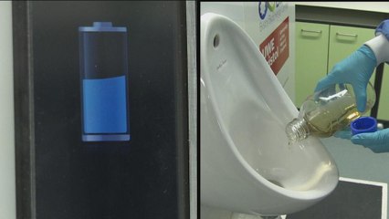 The self-sufficient toilet could be on its way thanks to power created by urine