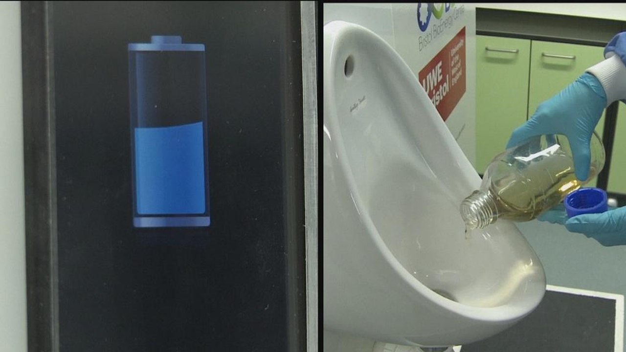 The self-sufficient toilet could be on its way thanks to power created by urine