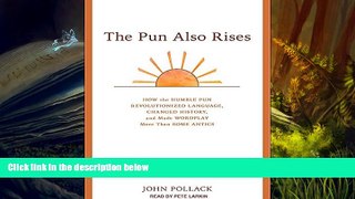 Audiobook  The Pun Also Rises: How the Humble Pun Revolutionized Language, Changed History, and