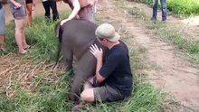 Les amitiés les plus étonnantes entre les humains et les animaux!