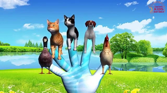 Семья животное палец | палец семейные песни | 3Д Nuresry анимация рифмы