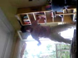 el tchitcho en pleine action