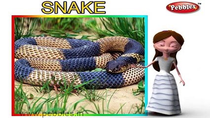 Snake Nursery Rhyme | Animal Rhymes | Nursery Rhymes For Kids | Nursery Rhymes 3D Collection