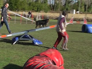 agility standard Fl et Fi Eyragues 2017_Mp4