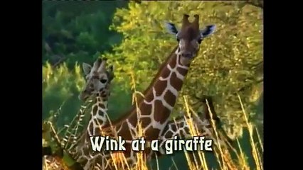 Phineas and Ferb - Bonus Song English - On Safari