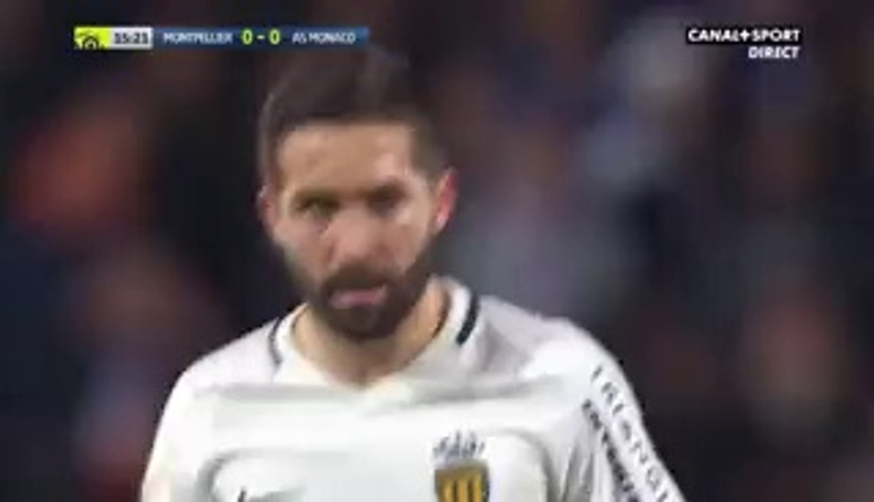 Kamil Glik Goal - Montpellier VS Monaco (1-2) 07.02.2017 HD