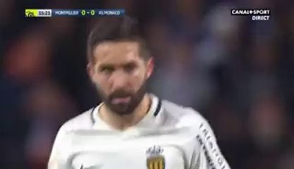 Kamil Glik Goal - Montpellier VS Monaco (1-2) 07.02.2017 HD