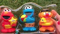 Sesame Street Bath Squirters Cookie Monster Elmo & Ernie Pool Toys Juguetes Plaza Sésamo Hasbro