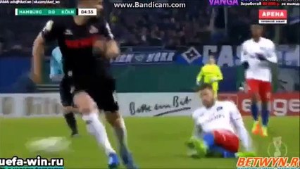 Hamburger SV vs FC Cologne 2-0 All Goals & Highlights HD 07.02.2017