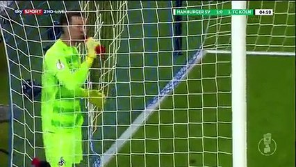 All Goals & highlights - Hamburger 2-0 FC Koln - 07.02.2017 ᴴᴰ