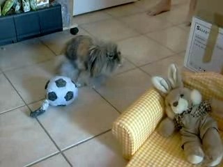 Poupette fait des claquettes