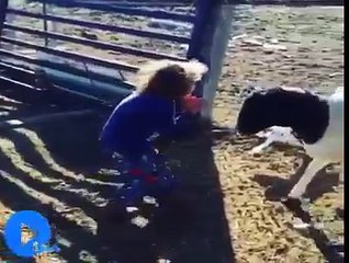 Hayvanlar İnsanlara Karşı Çok Komik Durumlar