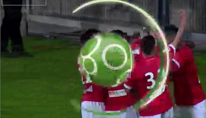 Renaud Ripart  GOAL HD - Nimes	2-0	Niort 07.02.2017