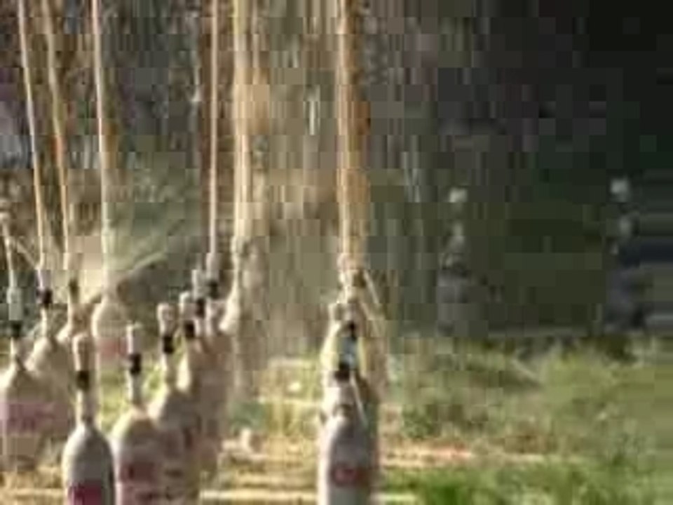 Extreme Diet Coke And Mentos