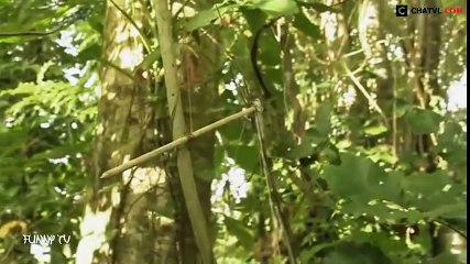 Funny Videos - funny clips canada - funny tv (P41)