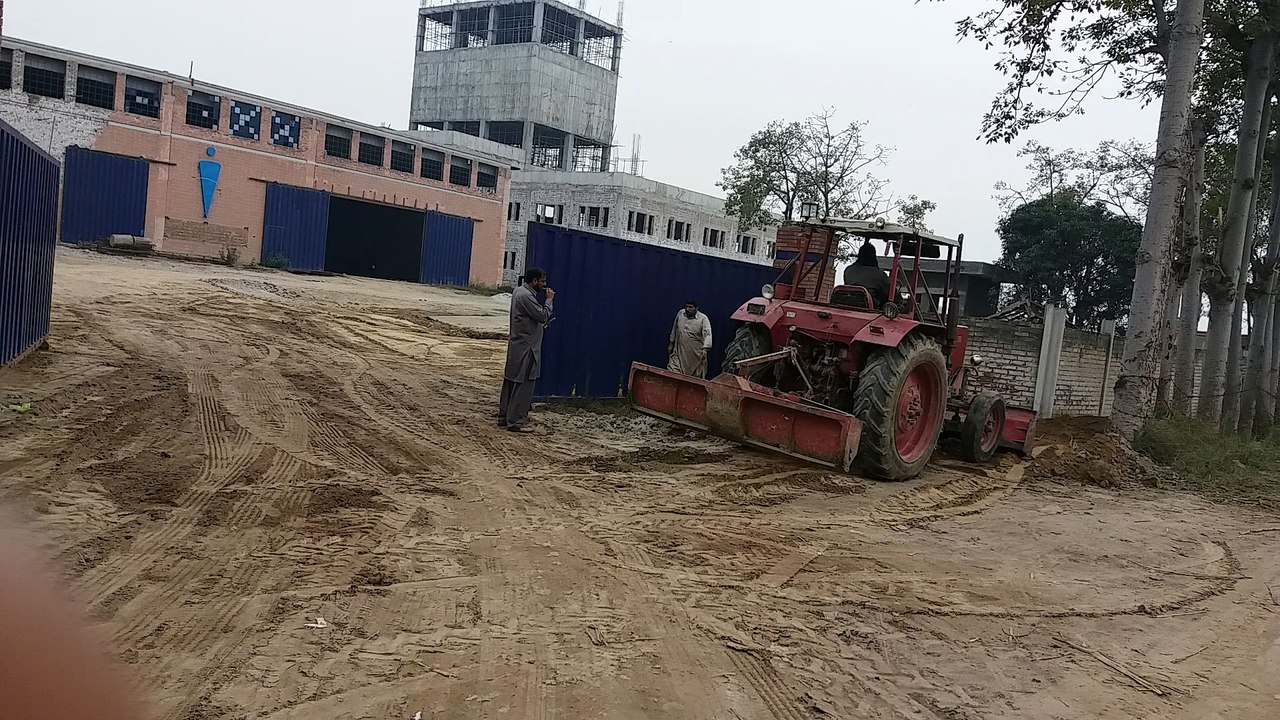 Bird In Feed Mill