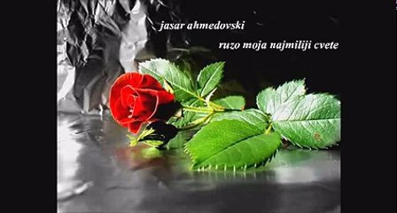 Jasar Ahmedovski Ruzo moja najmiliji cvete