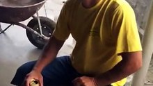 Sem título