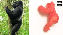 This Harambe-Shaped Cheeto Sold For $100K