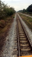 Dog Outruns Incoming Train