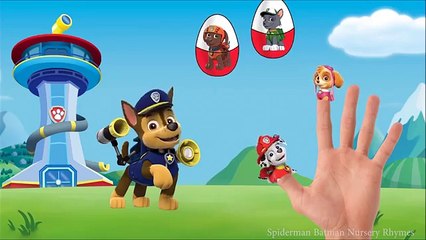 Paw Patrol Spiderman Learn colors With PacMan - Pacman Cartoon For Kids with Colors Spiderman