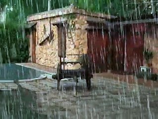 Marian Castillo Cuevas