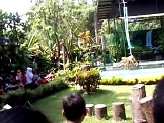 Gembira loka orang utan bisa di ajak foto weleh..weleh... senenge penek-an karo gandulan..