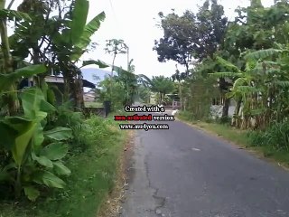 Indahnya Dunia Persawahan Pemandangan yang menyejukkan hati .. gemah ripah loh jinawi