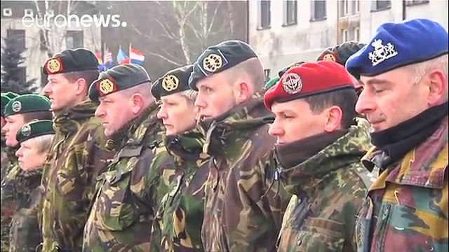 Lithuania emphasises NATO strength in the Baltics