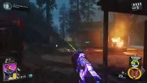 Infinite warfare zombies Rave in the redwoods Easter egg attempt withe Marcyfamily (4)