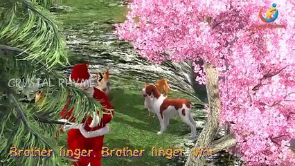 Finger Family 3d Nursery rhymes | Santa Claus play with funny crazy Animals