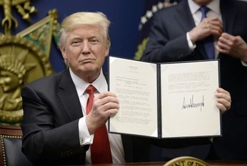 Trump sobre decreto anti-imigração: "é senso comum"
