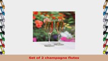 Hortense B Hewitt Infinity Champagne Flutes Set of 2 9853473f