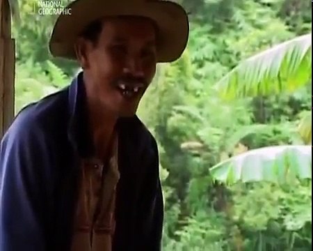 Реальность или фантастика Обезьяночеловек National Geographic