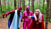 Spiderman, Frozen Elsa & BABIES! w/ Pink Spidergirl Joker Maleficent Ariel Mermaid Rapunze