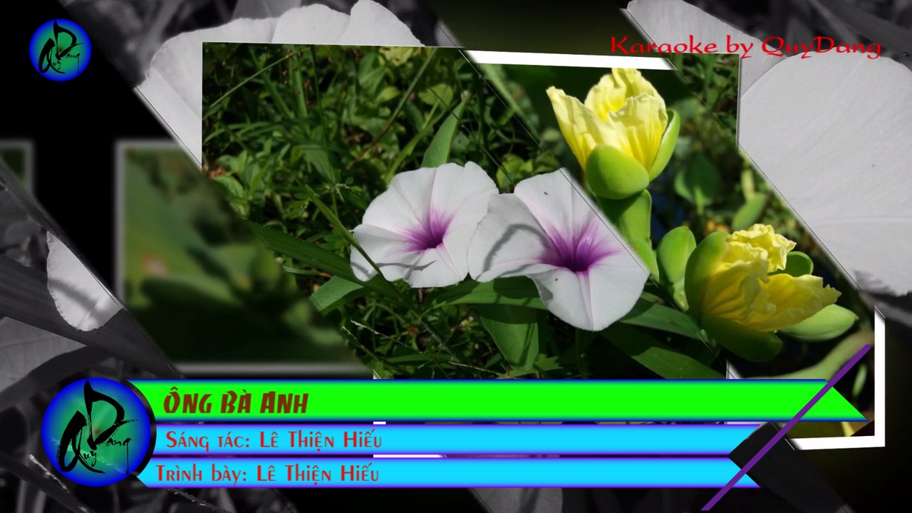 Ông Bà Anh | Lê Thiện Hiếu | Karaoke Beat[gốc] HD