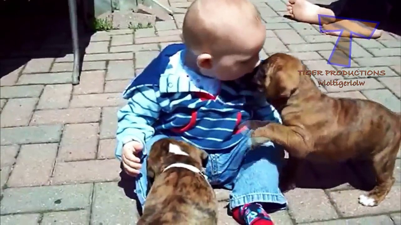 Funny babies annoying dogs - Cute dog & baby compilation