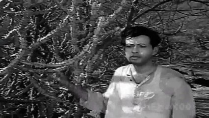 Hamne Apna Sab Kuch Khoya