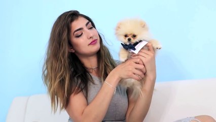 Testing Out Weird Dog Gadgets With NEW PUPPY!-EJZwMyd2mAg