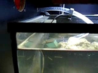 Wave box pour aquarium vidéo 1