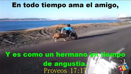 ¡¡¡ IMPRESIONANTE LO QUE HACE ESTA PERRITA !!! QUE GRAN EJEMPLO PARA LOS HUMANOS
