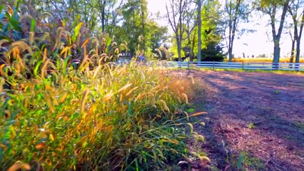 FALL LOOKBOOK 2016! Outfit ideas for Fall _ Niki and Gabi-19v-VDW1TW8